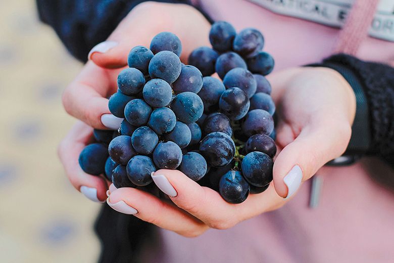 ## Photo by Anna Kumpan on Unsplash