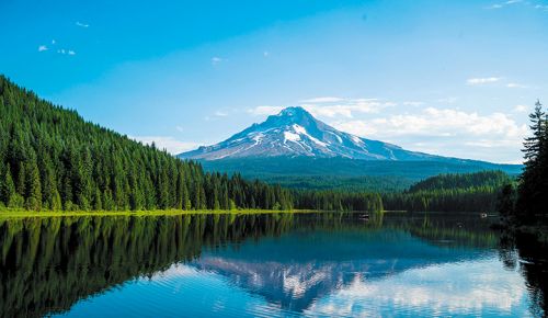 ## Photo by Shang Liu on Unsplash