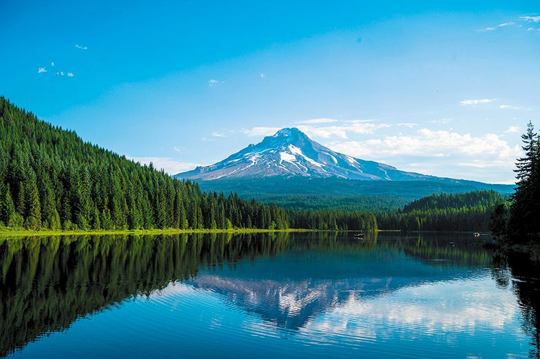 ## Photo by Shang Liu on Unsplash