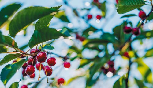 ##Photo by freestocks on Unsplash