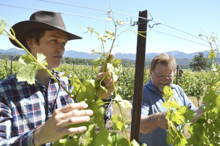Bruno Carle works with Joe Ginet of Plaisance Ranch in Williams. Carle visited from France, where Ginet’s cousin, Carle’s dad, grows the same winegrapes. Photo courtesy of Mail Tribune/Janet Eastman. Bruno Carle works with Joe Ginet of Plaisance Ranch in Williams. Carle visited from France, where Ginet’s cousin, Carle’s dad, grows the same winegrapes. Photo courtesy of Mail Tribune/Janet Eastman.