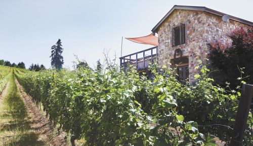 Lenné’s tasting room offers an Old World feel with a stunning view of the valley.  ##Photo by Rockne Roll