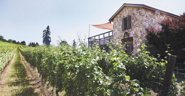 Lenné’s tasting room offers an Old World feel with a stunning view of the valley.  ##Photo by Rockne Roll