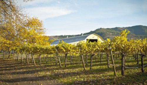 Pyrenees Vineyard & Cellars is located in the Umpqua Valley.  The land totals about 30 acres and has 17 acres planted in grapevines.