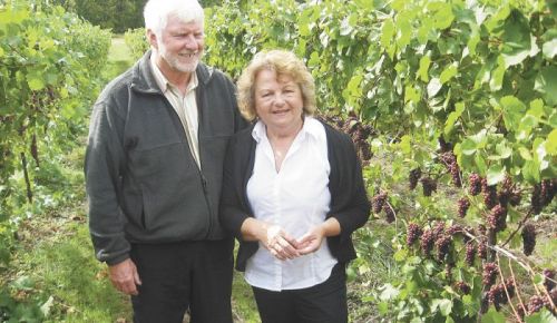 Craig and Gabriele Keeler stand amid Pinot Noir vines nearing harvest time. Their vineyards employ the Scott Henry double trellising system. Photo by Marcus Larson.
