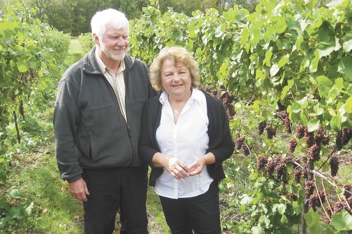 Craig and Gabriele Keeler stand amid Pinot Noir vines nearing harvest time. Their vineyards employ the Scott Henry double trellising system. Photo by Marcus Larson. Craig and Gabriele Keeler stand amid Pinot Noir vines nearing harvest time. Their vineyards employ the Scott Henry double trellising system. Photo by Marcus Larson.