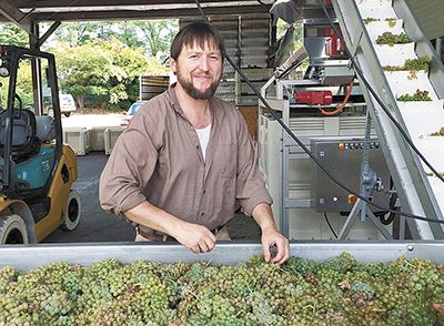 Winemaker Erik Brasher helps sort fruit at Lady Hill during this year’s harvest. ##Photo provided Winemaker Erik Brasher helps sort fruit at Lady Hill during this year’s harvest. ##Photo provided