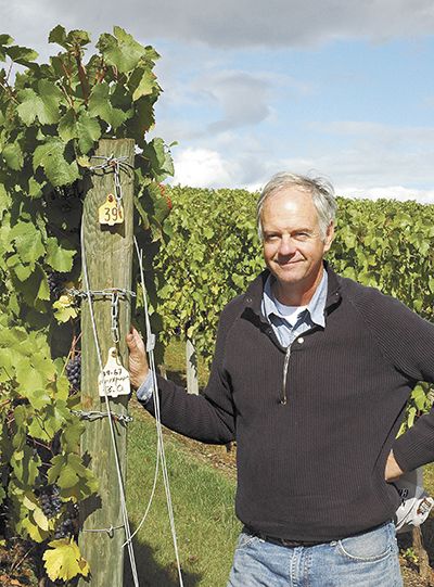 Jerry Owen stands among the vines at Freedom Hill Vineyard, a well-known site from which he sources fruit for Lady Hill. ##Photo provided