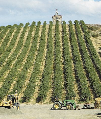 Lady Hill sources fruit from Washington vineyards such as Red Willow, located in the far western end of Yakima Valley AVA. In homage to the many chapel vineyards in France, Red Willow owners, the Sauer family, built the Monsignor Chapel on a hillside planted mostly to Syrah. ##Photo provided Lady Hill sources fruit from Washington vineyards such as Red Willow, located in the far western end of Yakima Valley AVA. In homage to the many chapel vineyards in France, Red Willow owners, the Sauer family, built the Monsignor Chapel on a hillside planted mostly to Syrah. ##Photo provided