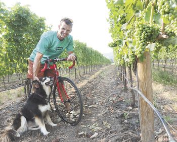 Gus Janeway rests on his bike at Gold Vineyard in Talent, with owners Randy and Rebecca Gold s dog, Maya. Gus Janeway rests on his bike at Gold Vineyard in Talent, with owners Randy and Rebecca Gold s dog, Maya.