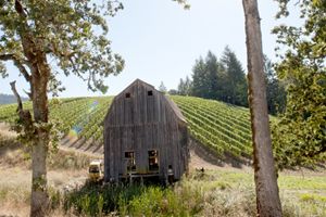 An old barn on the Colene
Clemens’ estate stands among vines and towering oaks.