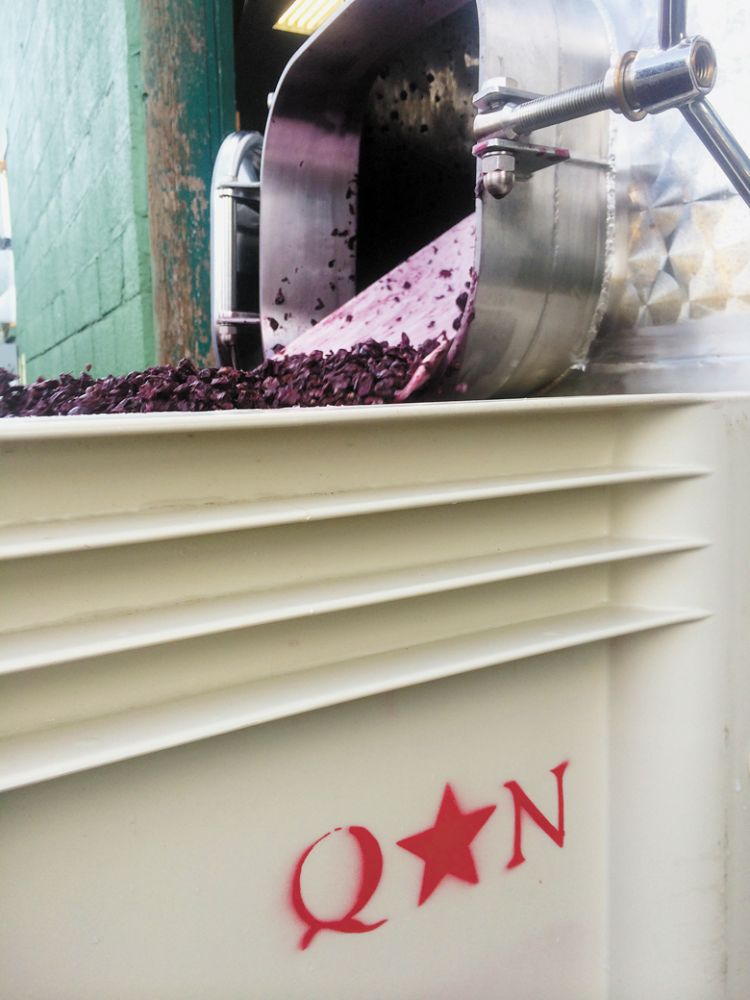 Newly harvested red wine grapes being processed at Quady North s winery. ##Photo provided by Quady North