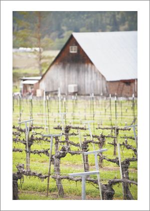 Valley View Vineyard in the Rogue Valley AVA.