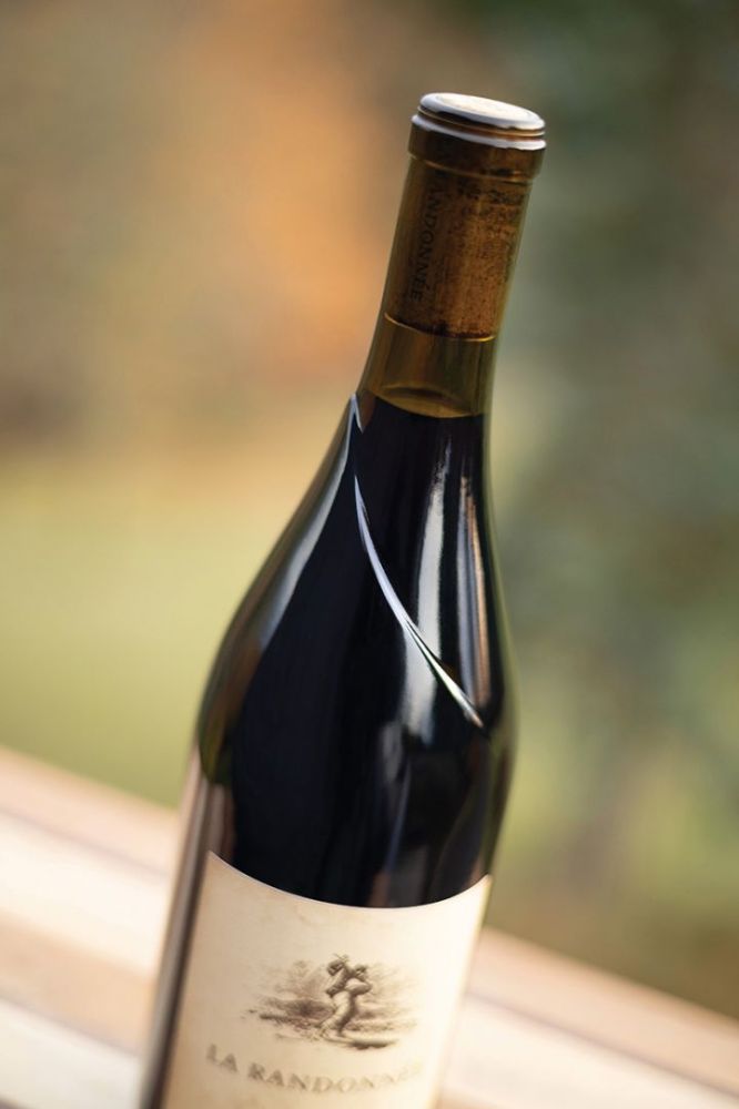 Look for the distinctive leaf-inspired motif on the neck of Revino bottles. ## Photo by Rachel Thompson