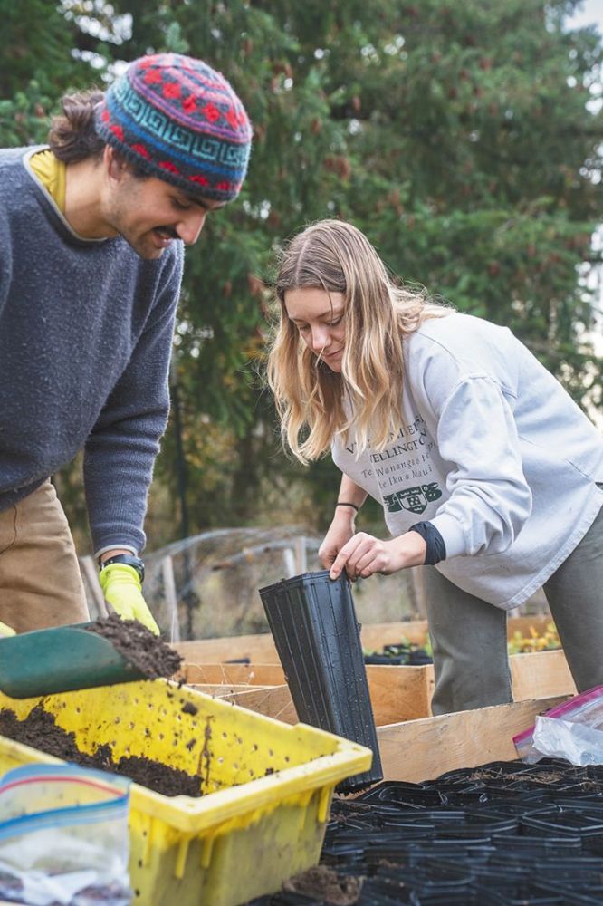 People planting acorns at a volunteer event. ## Photo by Rachel Thompson