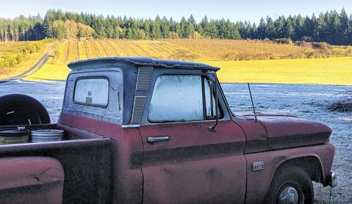 The 1970s pickup that carried the vine cuttings to RainSong Vineyard in 1985 is still in action on the estate. ##Photo by Marcus Hall