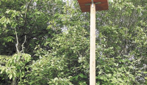 Raptor Ridge has created owl boxes, giving the birds a place to roost and contribute to the vineyard s overall ecological balance.