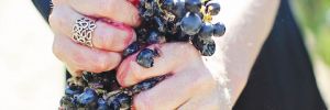 Rachael Martin, Red Lily Vineyards’ founder, owner and winemaker, squeezing a bunch of Tempranillo grapes. ## Photo provided by Red Lily Vineyards