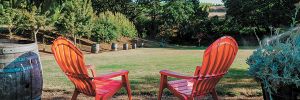 Red Adirondack chairs on the lawn at Yamhill Valley Vineyards. 
## Photo provided by Yamhill Valley Vineyards