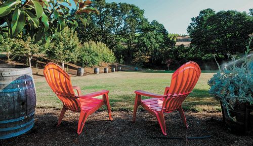 Red Adirondack chairs on the lawn at Yamhill Valley Vineyards. 
## Photo provided by Yamhill Valley Vineyards