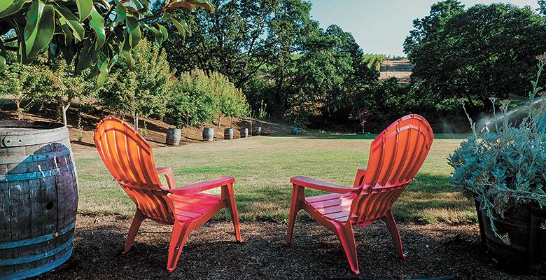 Red Adirondack chairs on the lawn at Yamhill Valley Vineyards. 
## Photo provided by Yamhill Valley Vineyards