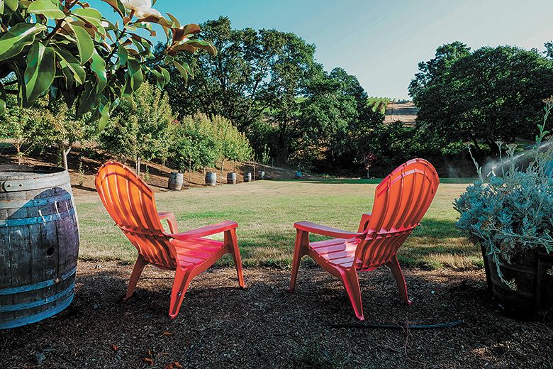 Red Adirondack chairs on the lawn at Yamhill Valley Vineyards. 
## Photo provided by Yamhill Valley Vineyards