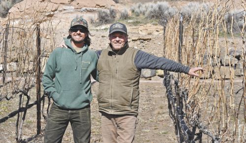 Redside Ranch Vineyard manager Ryder Redfield (left) and vineyard manager Kerry Damon at the Terrebonne vineyard site where Marquette, a French-American hybrid, grows. ##Photo provided