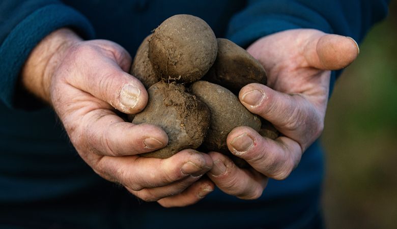 Mike Martin, owner of The Walls Vineyards, holds the rocks that make this region, The Rocks District of Milton-Freewater, so special. ##Photo by Kathryn Elsesser