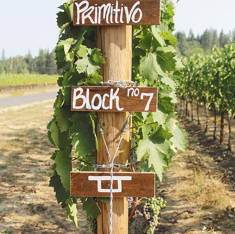 Sign marking a Primitivo grape block in a vineyard. ## Photo provided by Travel Medford Sign marking a Primitivo grape block in a vineyard. ## Photo provided by Travel Medford