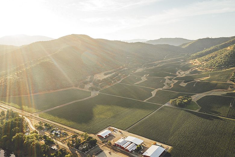 An aerial view of the grapevines surrounding Del Rio Vineyard Estate. ## Photo provided by Del Rio Vineyard Estate