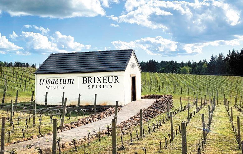 Spirit tastings take place within the Brixeur cottage, located next to the Trisaetum winery on Ribbon Ridge.##Photo provided Spirit tastings take place within the Brixeur cottage, located next to the Trisaetum winery on Ribbon Ridge.##Photo provided