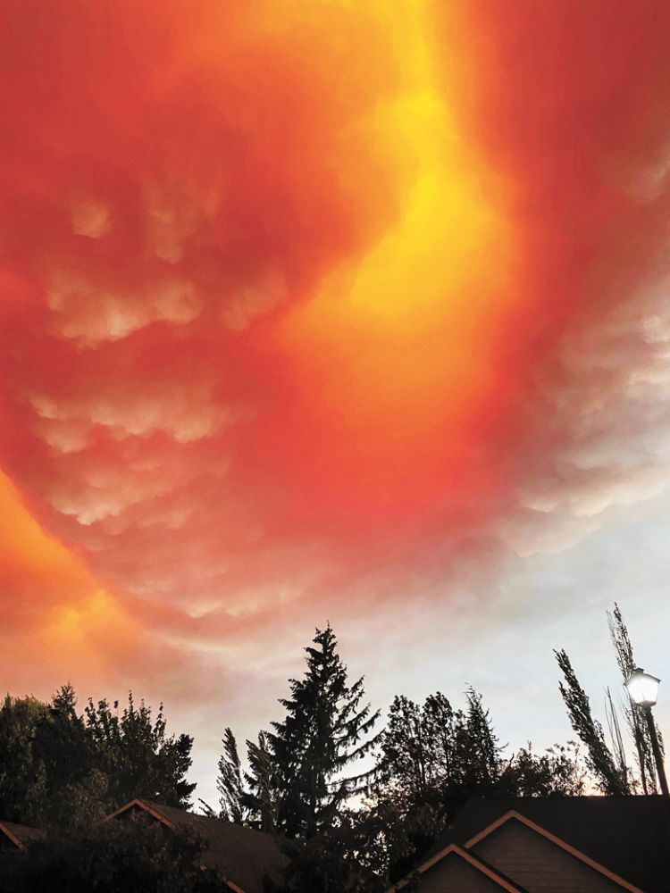7:09 p.m. Sept. 8: Smoke billowing overhead. ##Photo by Patrick McElligott of Sineann Wines 7:09 p.m. Sept. 8: Smoke billowing overhead. ##Photo by Patrick McElligott of Sineann Wines