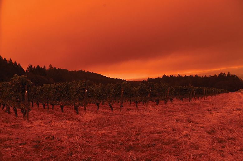 Wildfire smoke from the 2020 Labor Day fires turned the skies red and impacted grapes in vineyards across the state.  ## Photo by Rusty Rae