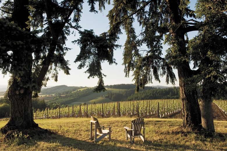 Visitors enjoy expansive views over Soter’s biodynamically-farmed vineyards.#Photo provided by Soter Vineyards