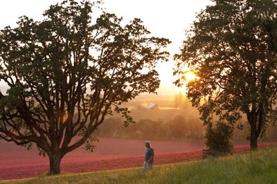 Tony Soter surveys his Mineral Spring Ranch perched serenely on Savannah Ridge. Photo by Andrea Johnson.