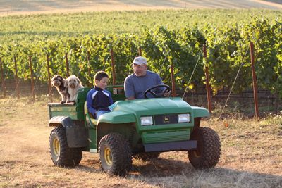 Soter, his son, Austin, and family dogs Buster and Biscuit take a ride around their Mineral Springs Estate Vineyard. Photo by Andrea Johnson. Soter, his son, Austin, and family dogs Buster and Biscuit take a ride around their Mineral Springs Estate Vineyard. Photo by Andrea Johnson.