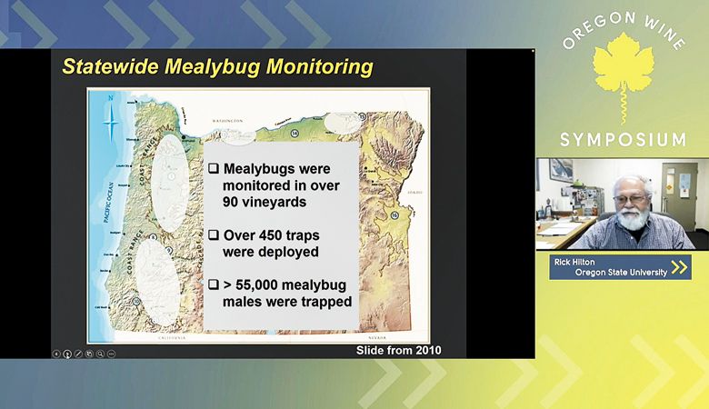 During his virtual symposium seminar, Rick Hilton of Oregon
State University discusses the Mealy bug, a major pest in vineyards.