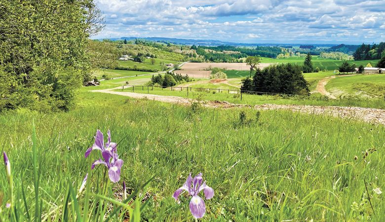 Tabula Rasa Farms outside Carlton. ##Photo provided