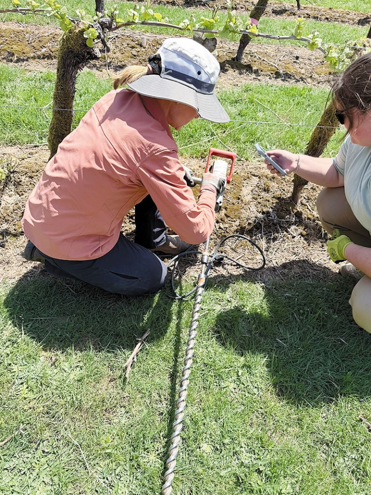 Patty Skinkis, Ph.D., left, shows a graduate student how to prepare the drill for installing soil moisture tubes to monitor water content of the soil in a research vineyard. ## Photo courtesy of Karmandeep Sidhu, OSU