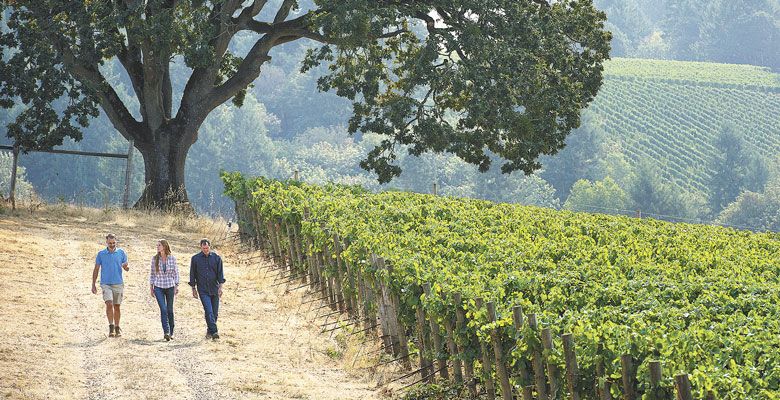 Jean-Nicolas Méo (from left), Tracy Kendall and Jay Boberg walk the grounds of Bishop Creek Vineyard, Domaine Nicolas-Jay’s acquired property in the Yamhill-Carlton AVA. ##Photo by Andrea Johnson