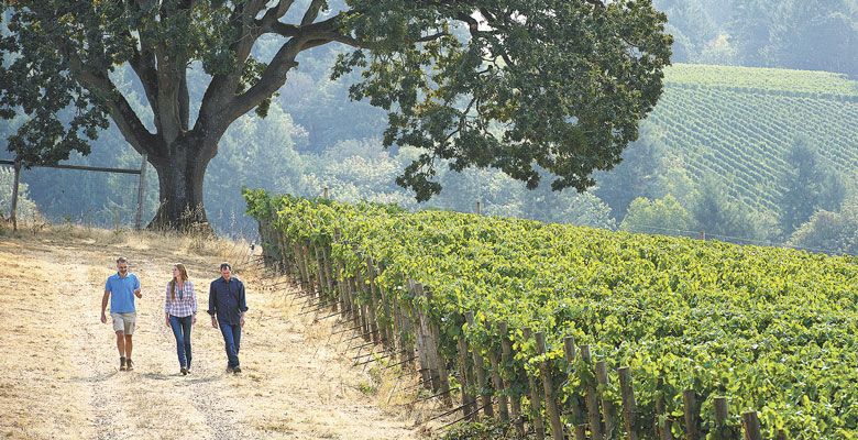 Paradox winery deals