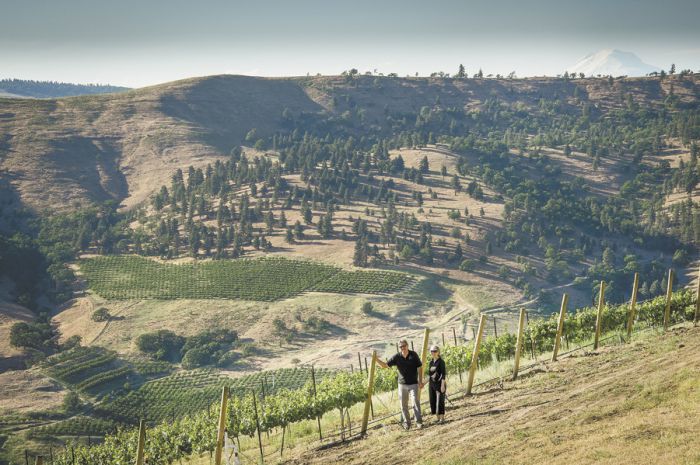 The Pines 1852 owners Lonnie (left) and Linda Wright stand among the vines at Volcano Ridge Vineyard in The Dalles; Mt. Adams is in the distance. Photo by Andrea Johnson.