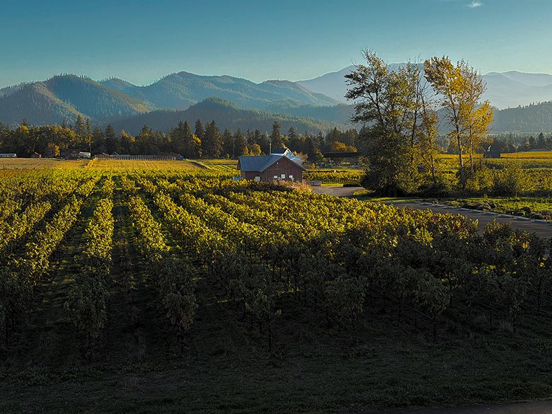 Fall sunset at Troon Vineyard in Oregon’s Applegate Valley ## Photo provided by Troon Vineyard