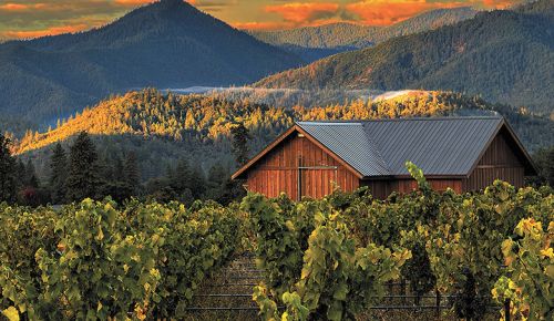 An early fall morning at Troon Vineyard. ##Photo by Craig Camp, Troon Vineyard