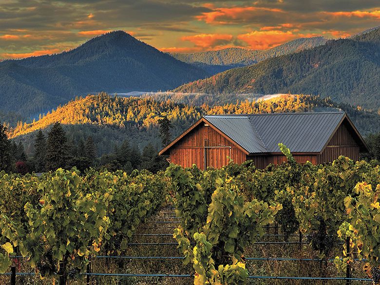 An early fall morning at Troon Vineyard. ##Photo by Craig Camp, Troon Vineyard