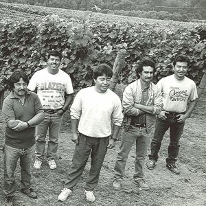The original Tualatin Estate Vineyard and Winery crew, taken in 1980. Miguel Loeza, Willamette Valley Vineyards  current vineyard foreman, is standing in the center. Efren Loeza, Willamette Valley Vineyards  current vineyard manager, is on the far right. ## Photo provided by Willamette Valley Vineyards