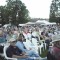 Umpqua Valley Wine Art and Music Festival