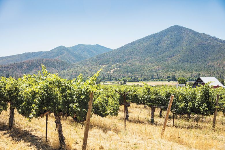 View of vineyards and surrounding topography at Valley View Winery.