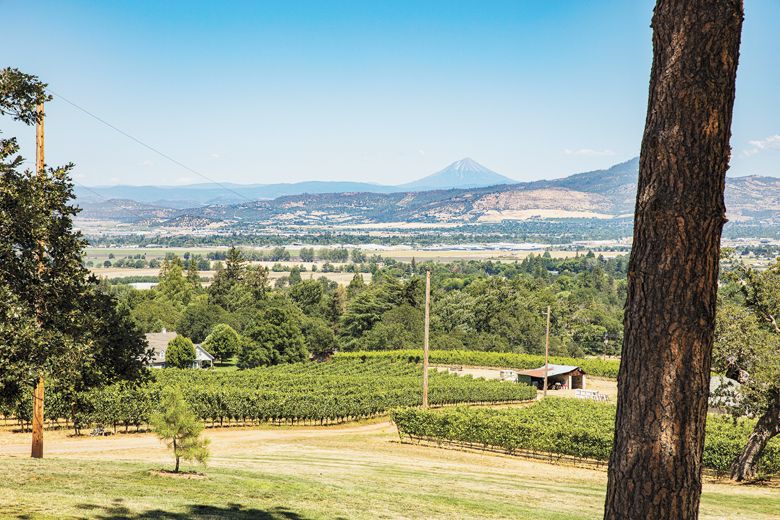Hummingbird Estate offers expansive views of the Rogue Valley from their 47-acre property. Hummingbird Estate offers expansive views of the Rogue Valley from their 47-acre property.