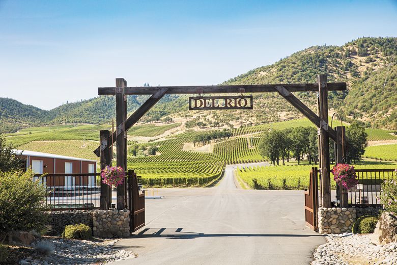 Entrance to Del Rio Vineyard Estate, Southern Oregon’s largest single vineyard.